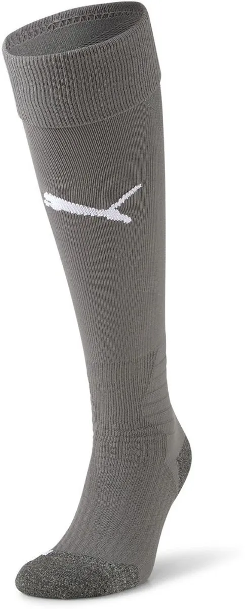 PUMA Teamliga Voetbalkousen 39-42 - Grijs