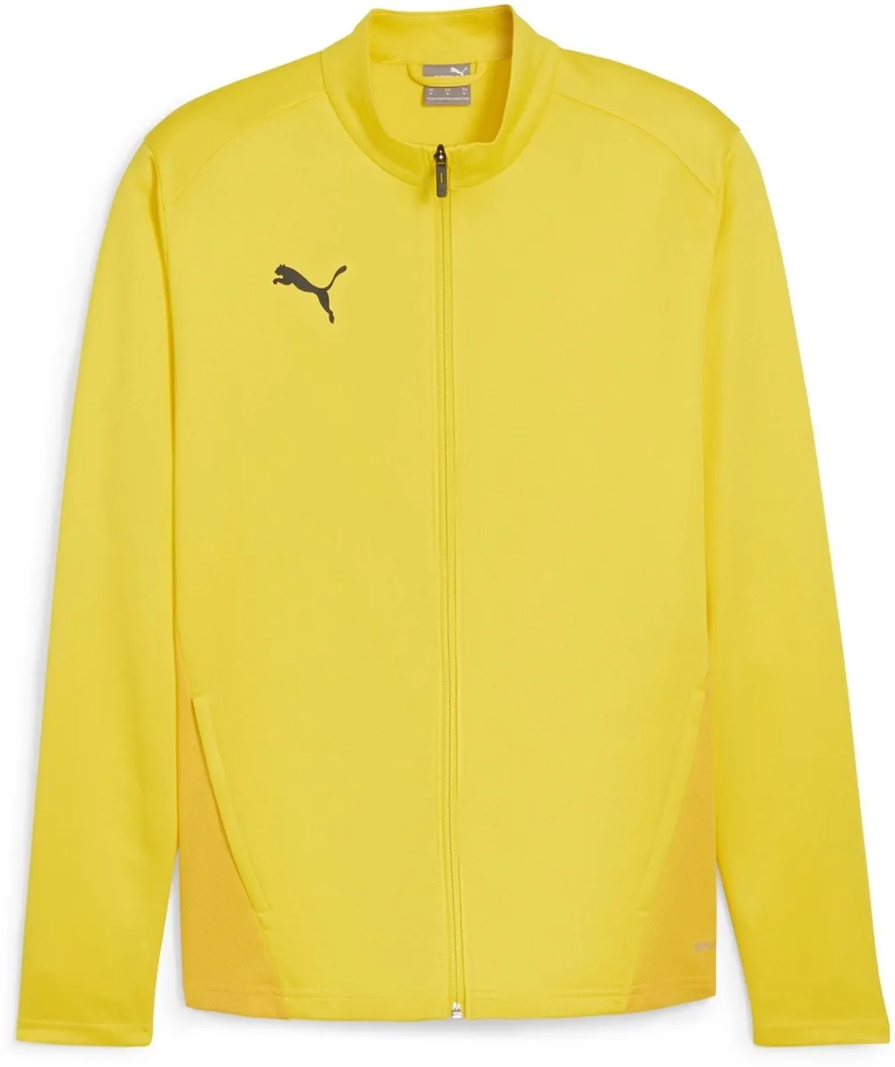 PUMA TeamGoal Training Jacket 658633