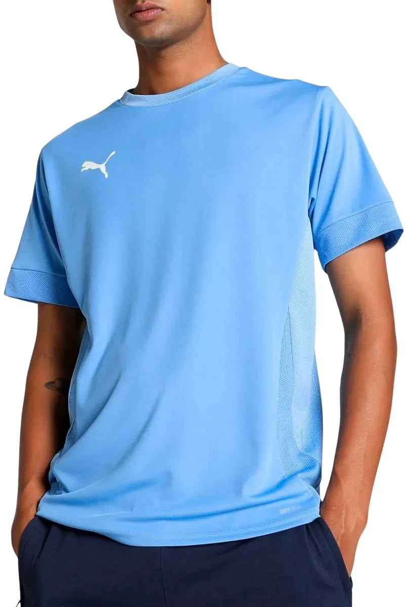 PUMA TeamGOAL Matchday Shirt Heren S