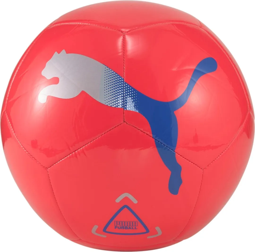 PUMA Icon Voetbal