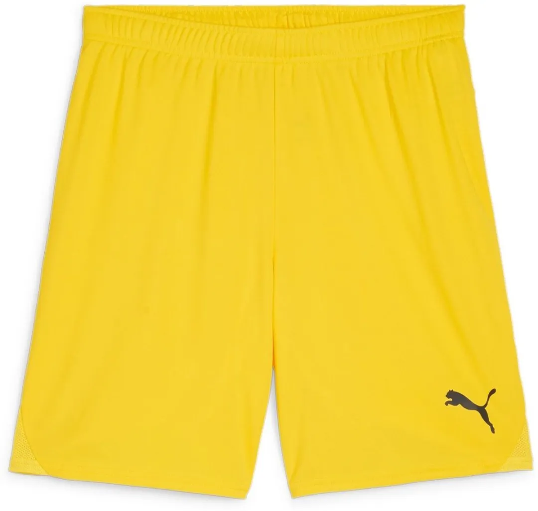 PUMA TeamGoal Shorts 705752