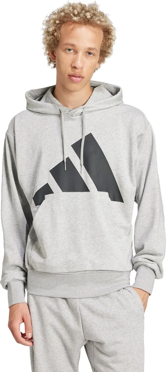 adidas Essentials Big Logo Hoodie - Grijs
