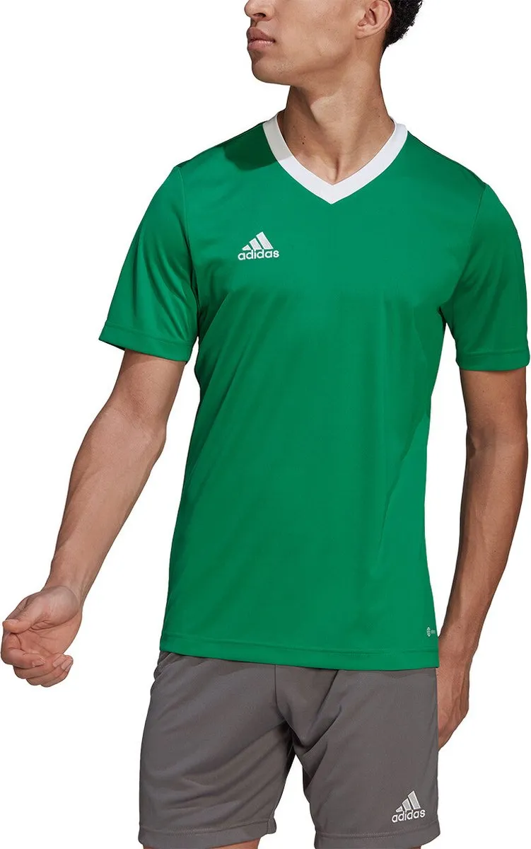 adidas Performance Entrada 22 Voetbalshirt HI2123
