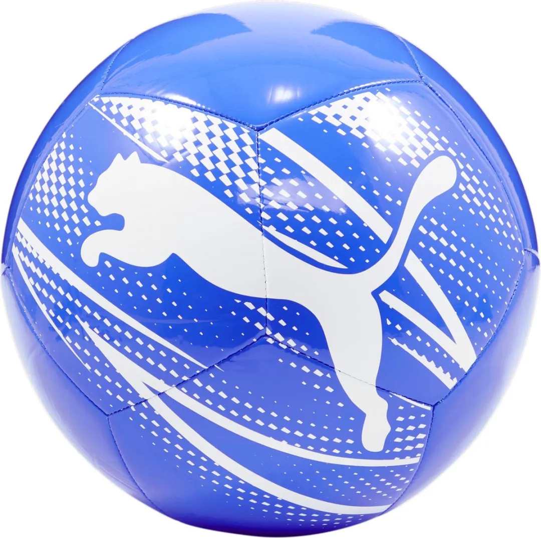 PUMA Attacanto Voetbal