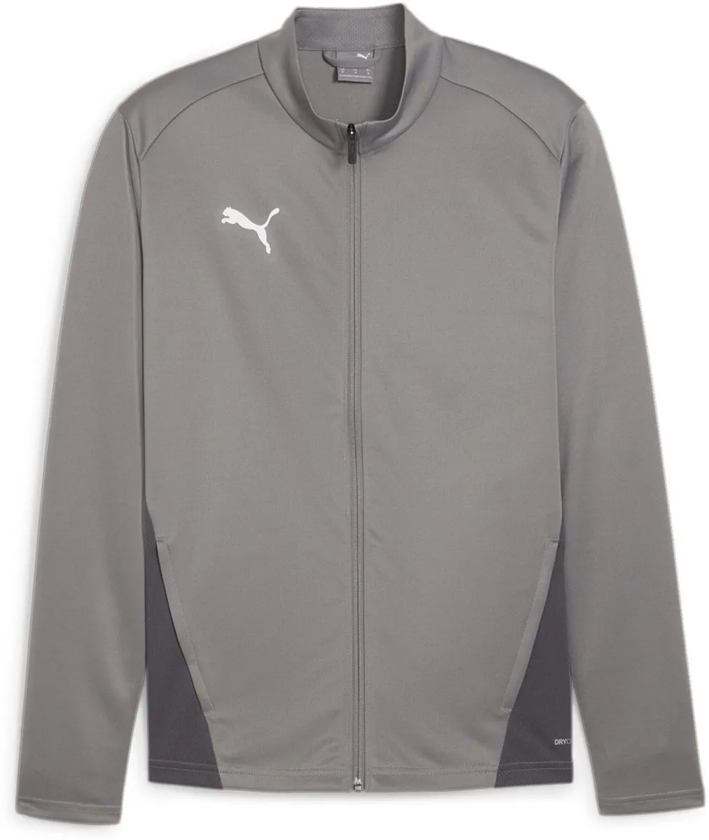 PUMA TeamGoal Training Jacket 658633