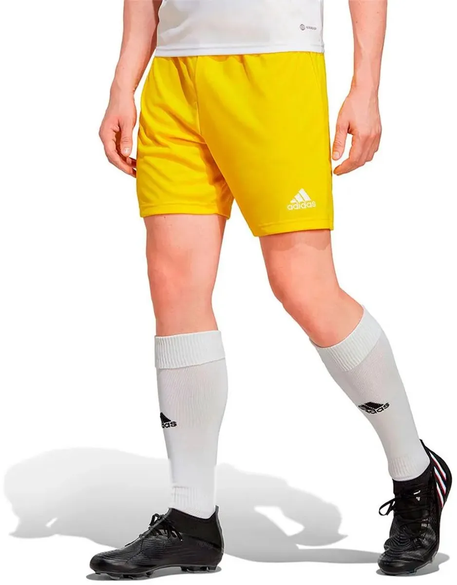 Adidas Ent22 Korte Broek