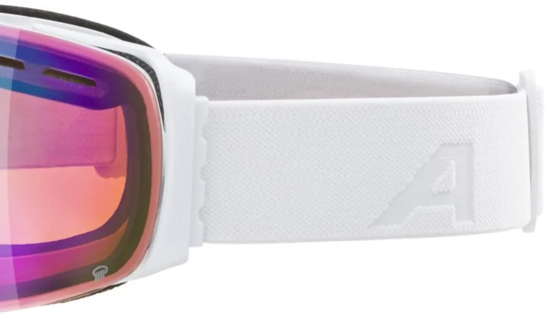 Alpina Granby Q Skibril - Wit Groen