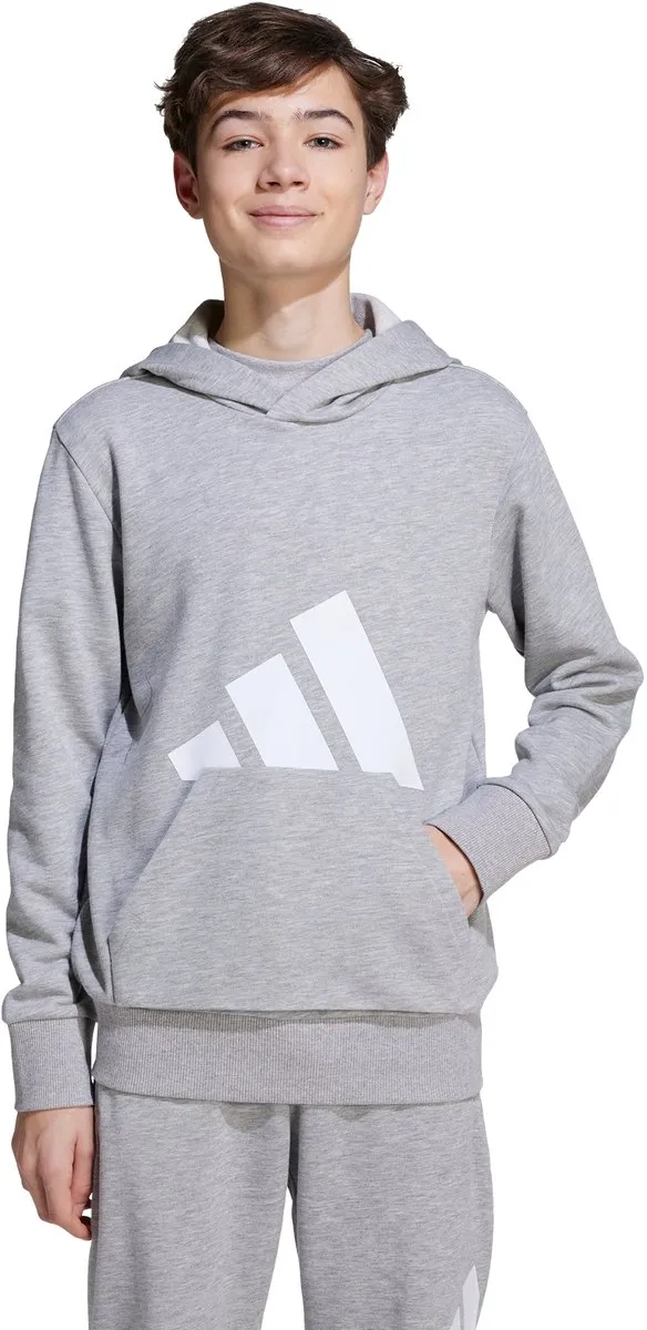 adidas Sportswear Essentials Hoodie Kids JV9900 - Grijs - Maat 164