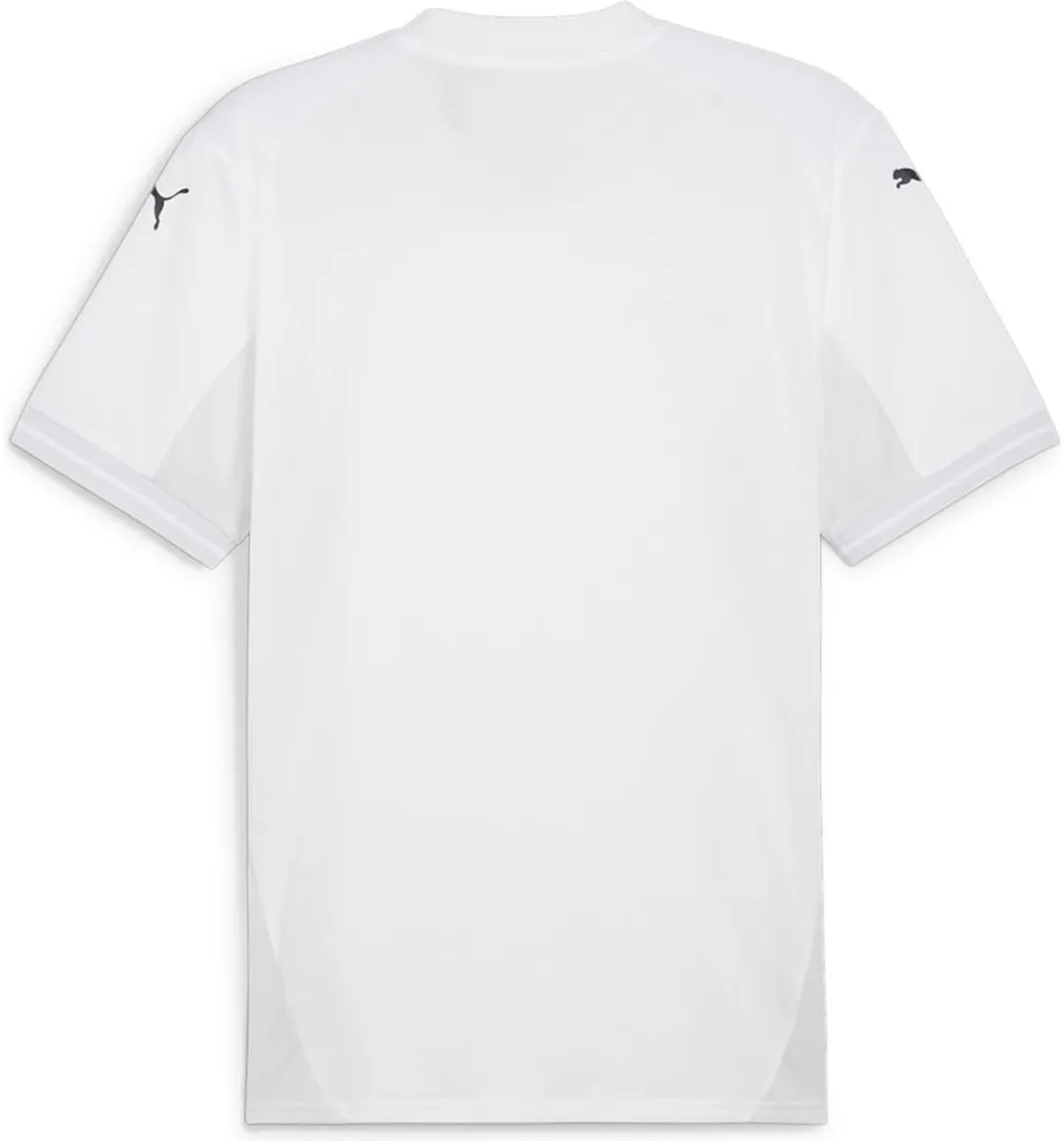 PUMA Teamfinal Shirt Heren Korte Mouw - L - Wit