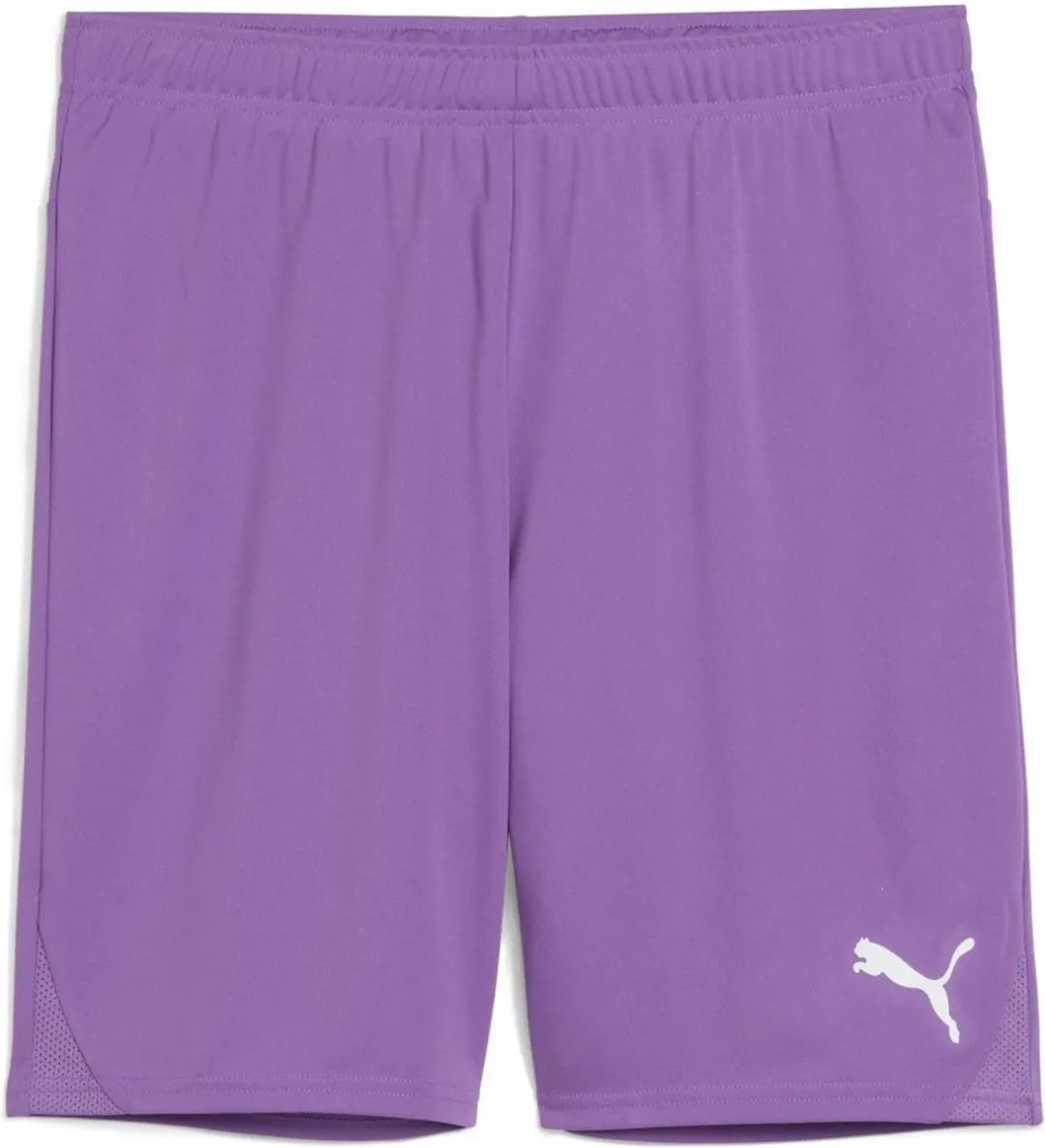 PUMA TeamGoal Shorts 705752