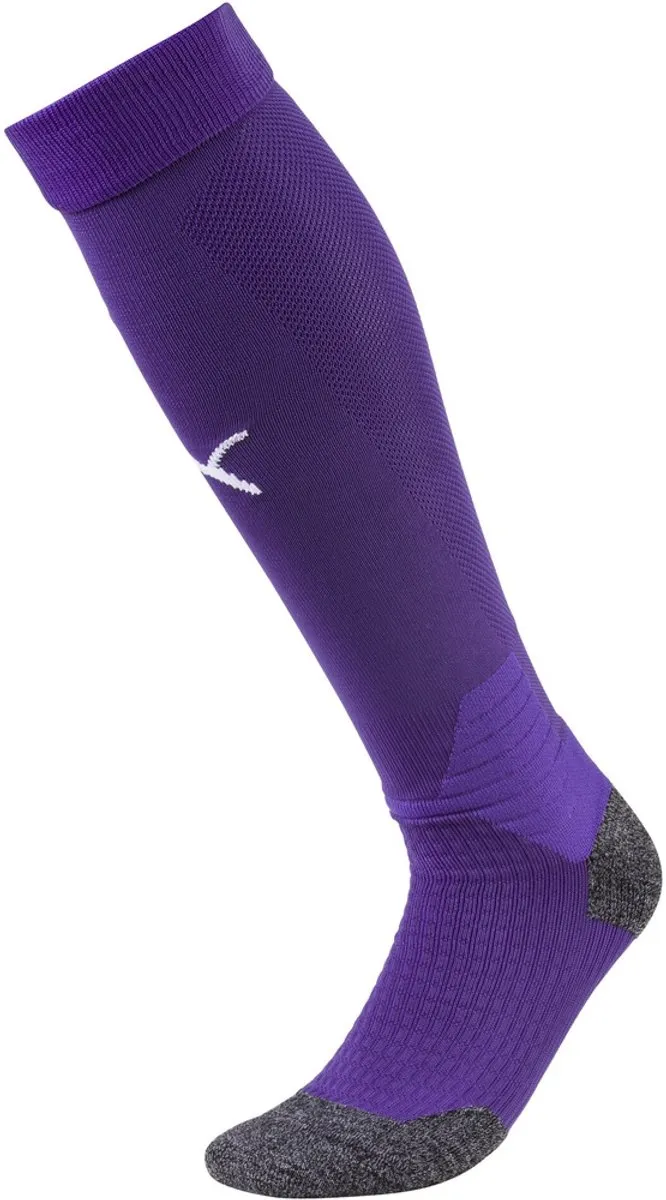 PUMA Teamliga Voetbalkousen 47-49 - Paars