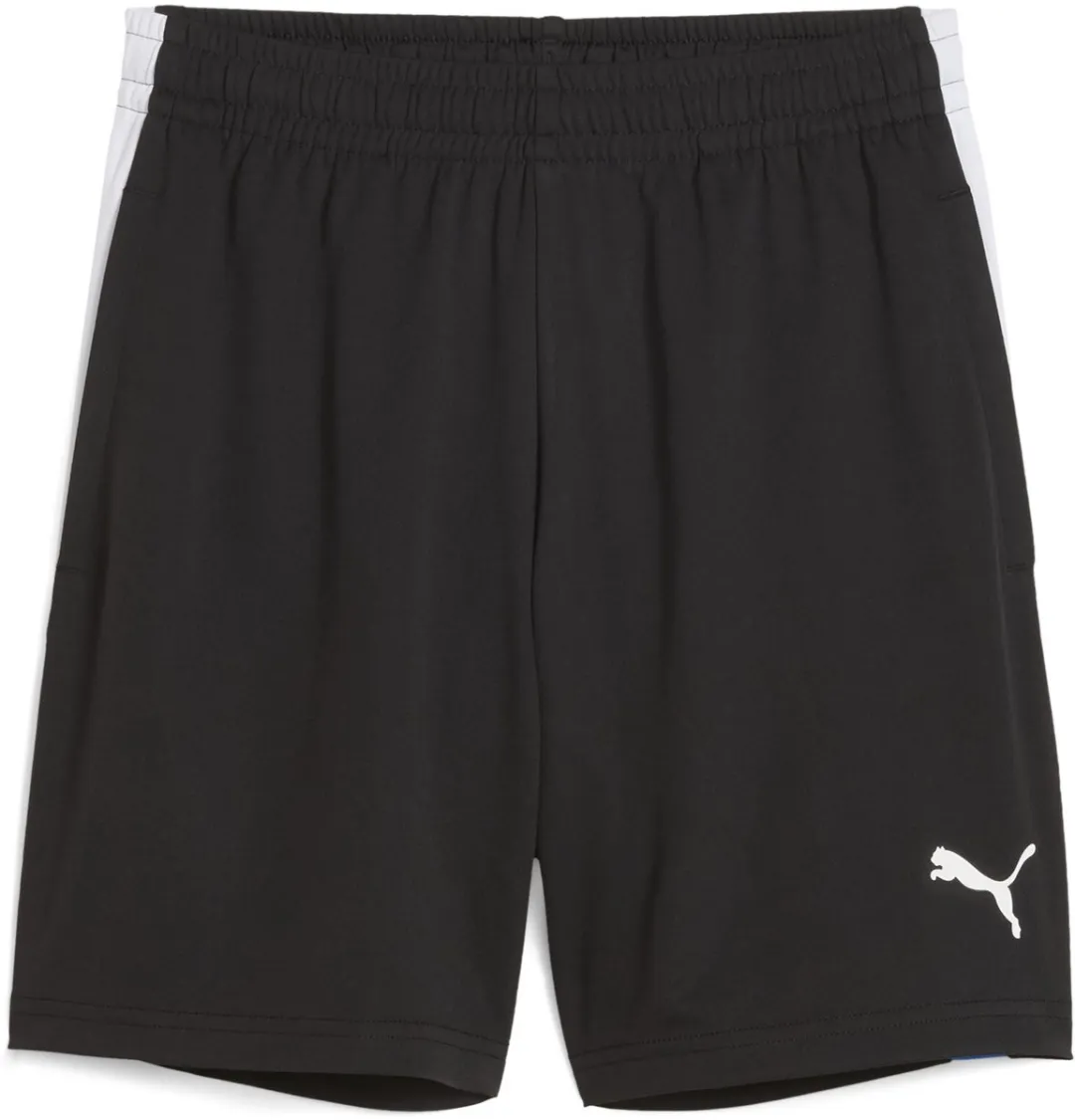PUMA IndividualLIGA Training Shorts 2 Jr Sportbroek - 176 - Multicolor - afbeelding 5 van 6