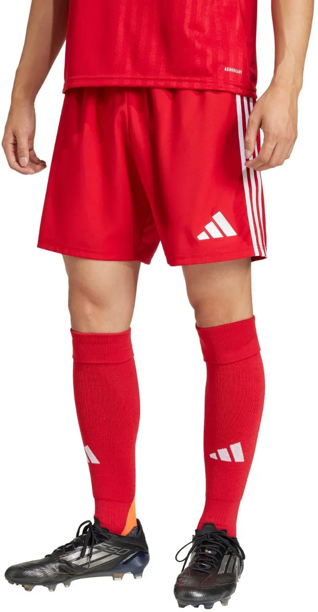 adidas Tastigo 25 Herenshort