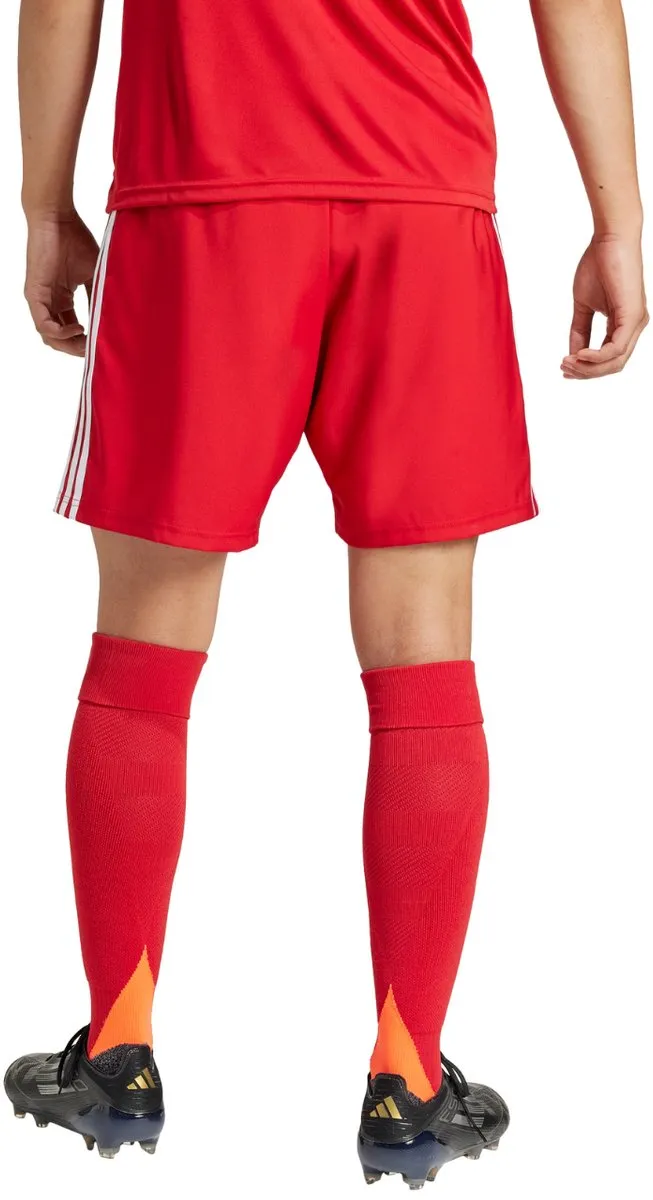 adidas Tastigo 25 Herenshort - Rood - XXL