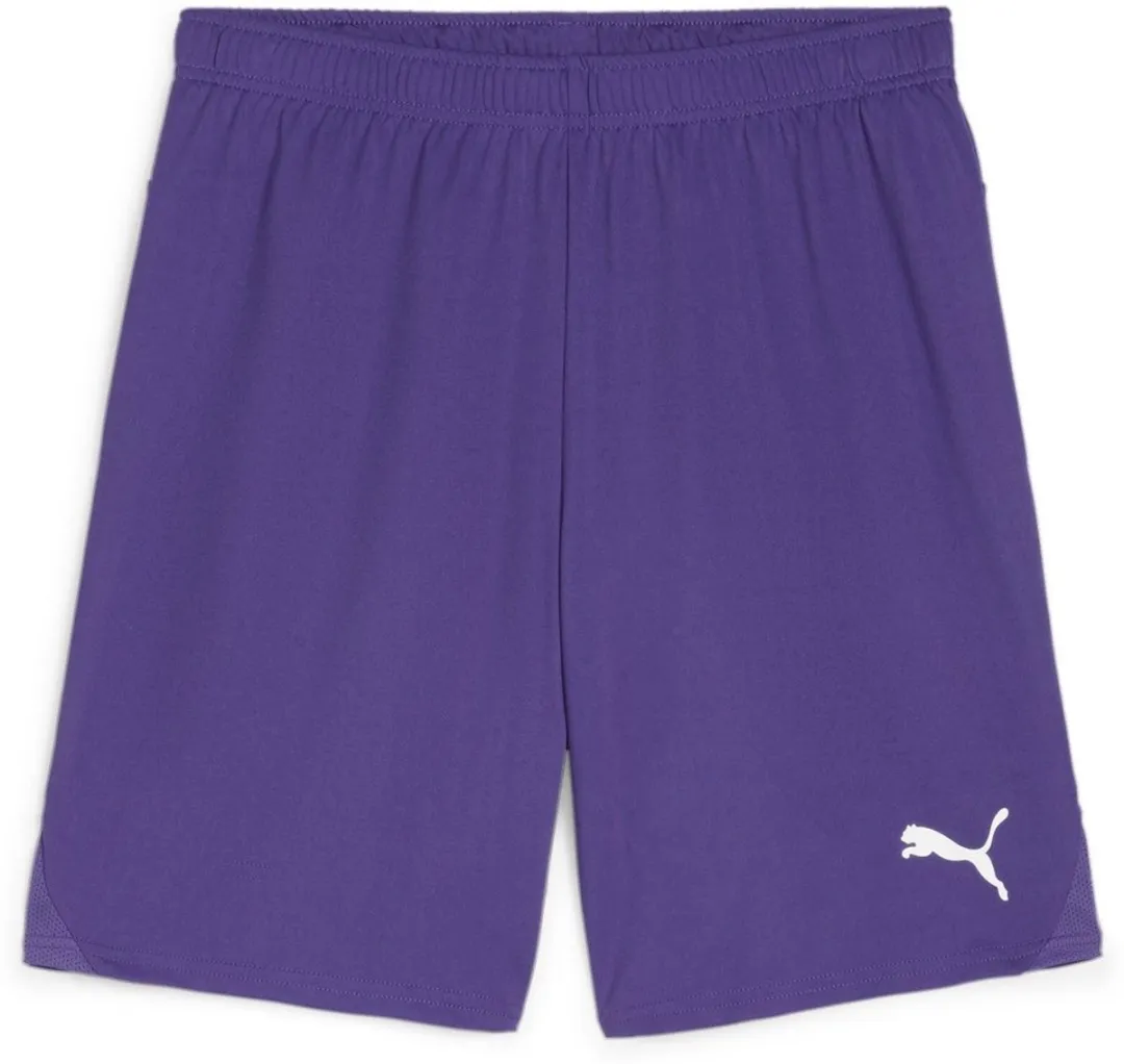 PUMA TeamGoal Shorts 705752