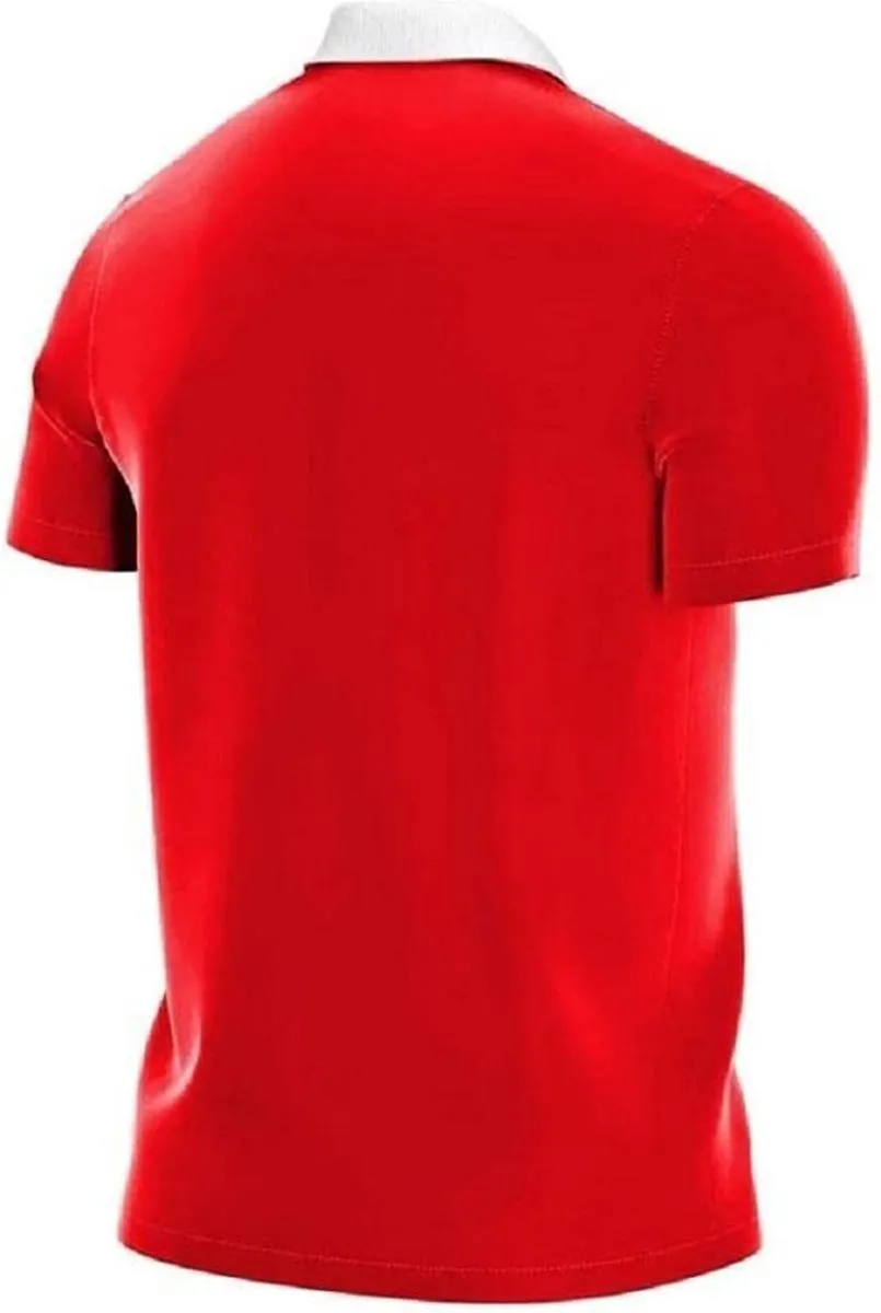 Nike Park 20 Polo Heren - Rood M