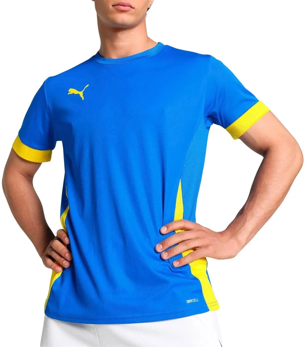 PUMA TeamGOAL Matchday Shirt Heren - L - Bordeauxrood