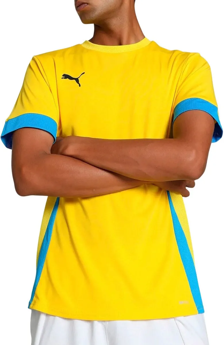 PUMA TeamGOAL Matchday Shirt Heren - L - Bordeauxrood