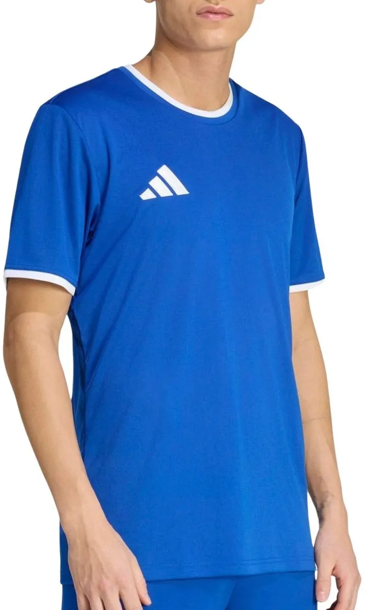 adidas Entrada 26 Shirt Heren XL - Groen/Wit