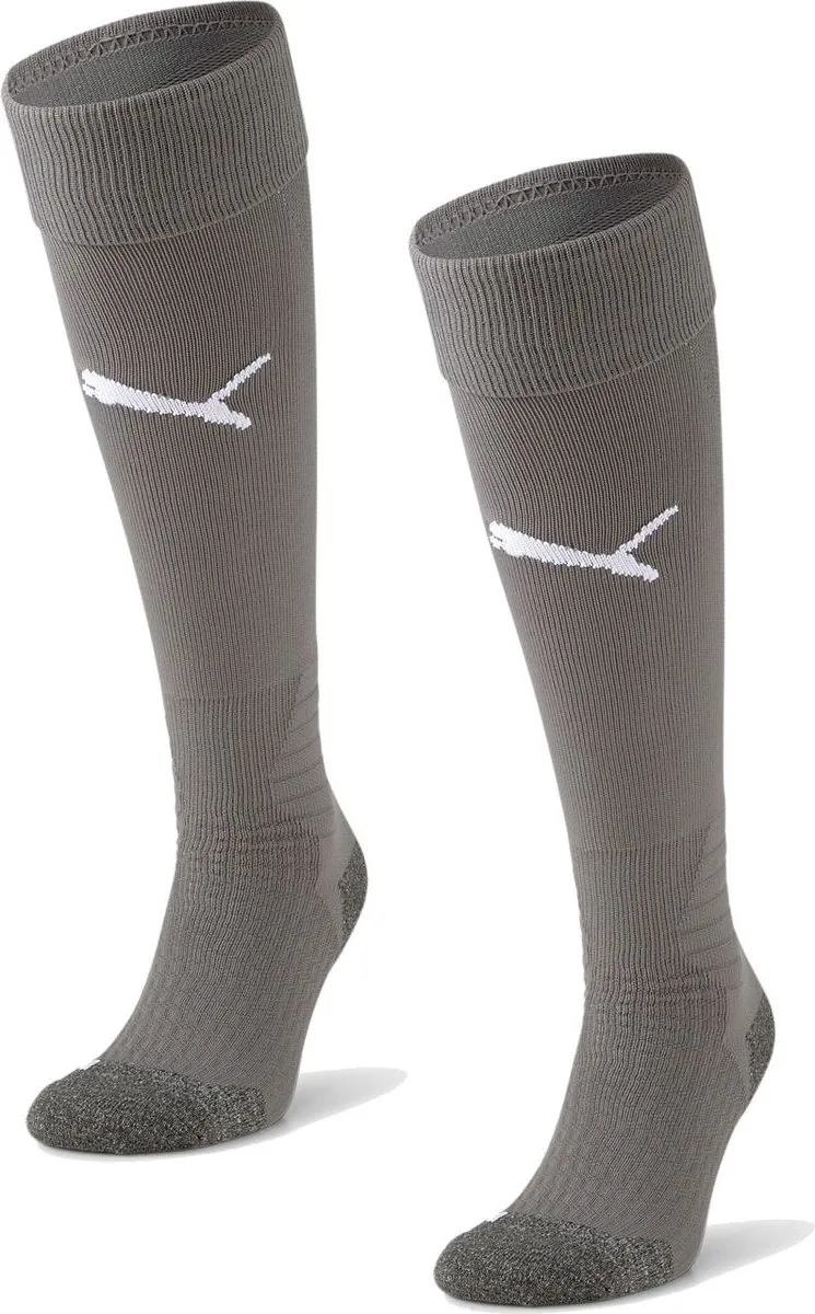 PUMA Teamliga Voetbalkousen 703441-43 - Grijs