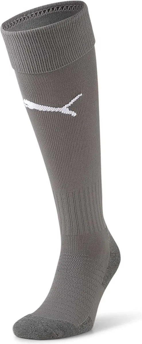 PUMA Teamliga Voetbalkousen 703441-43
