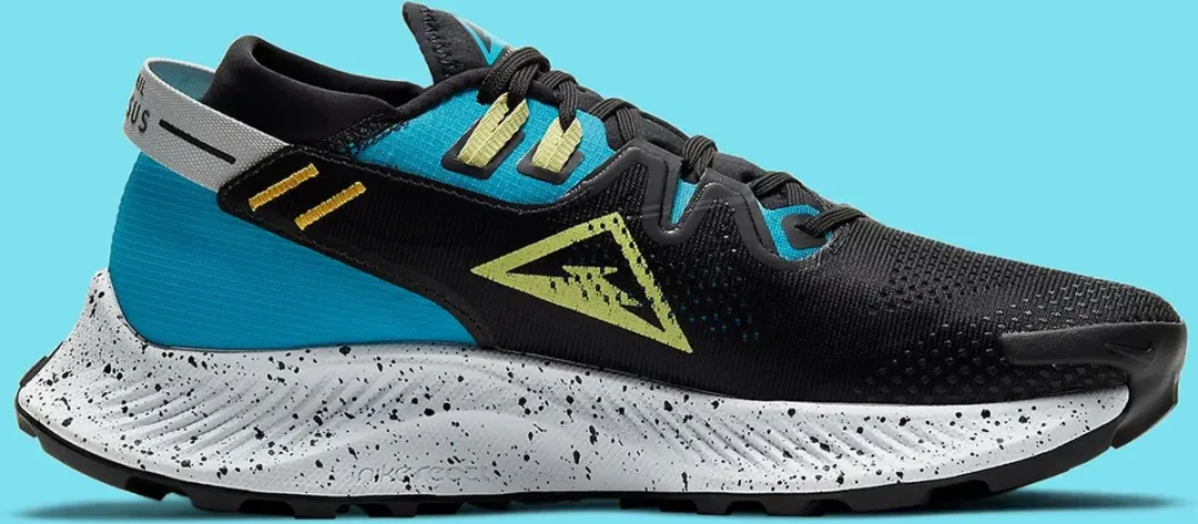 Nike Pegasus Trail 2