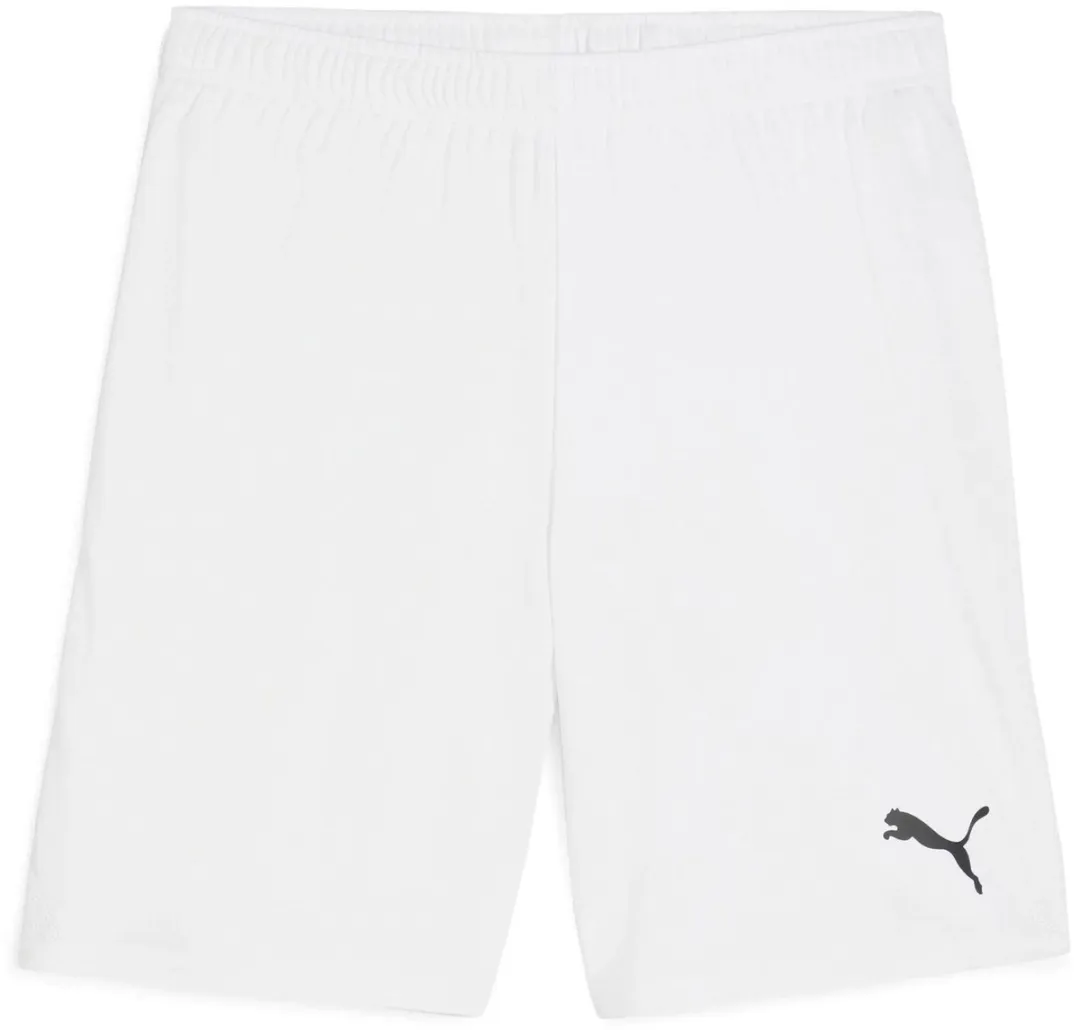 PUMA TeamGOAL Trainingsbroek 3XL - Wit