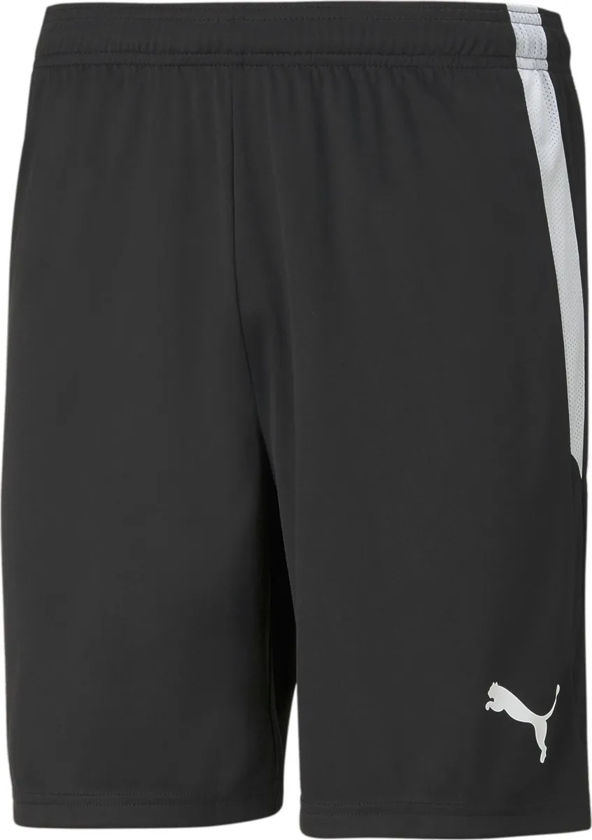 PUMA TeamLIGA Shorts Heren