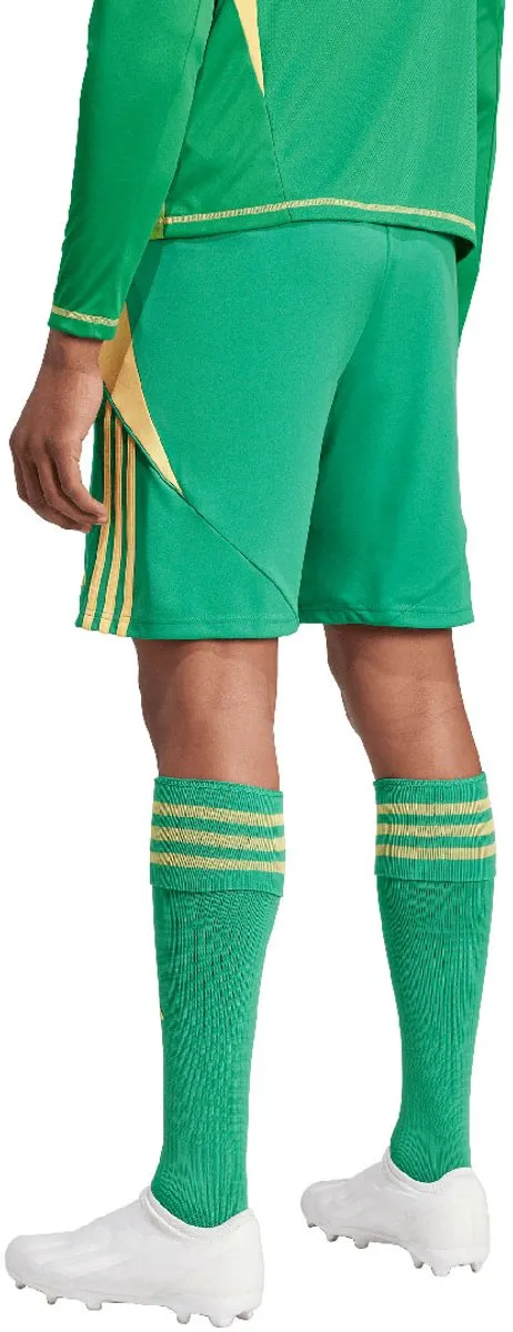 adidas Tiro 24 Herenshort - M - Groen
