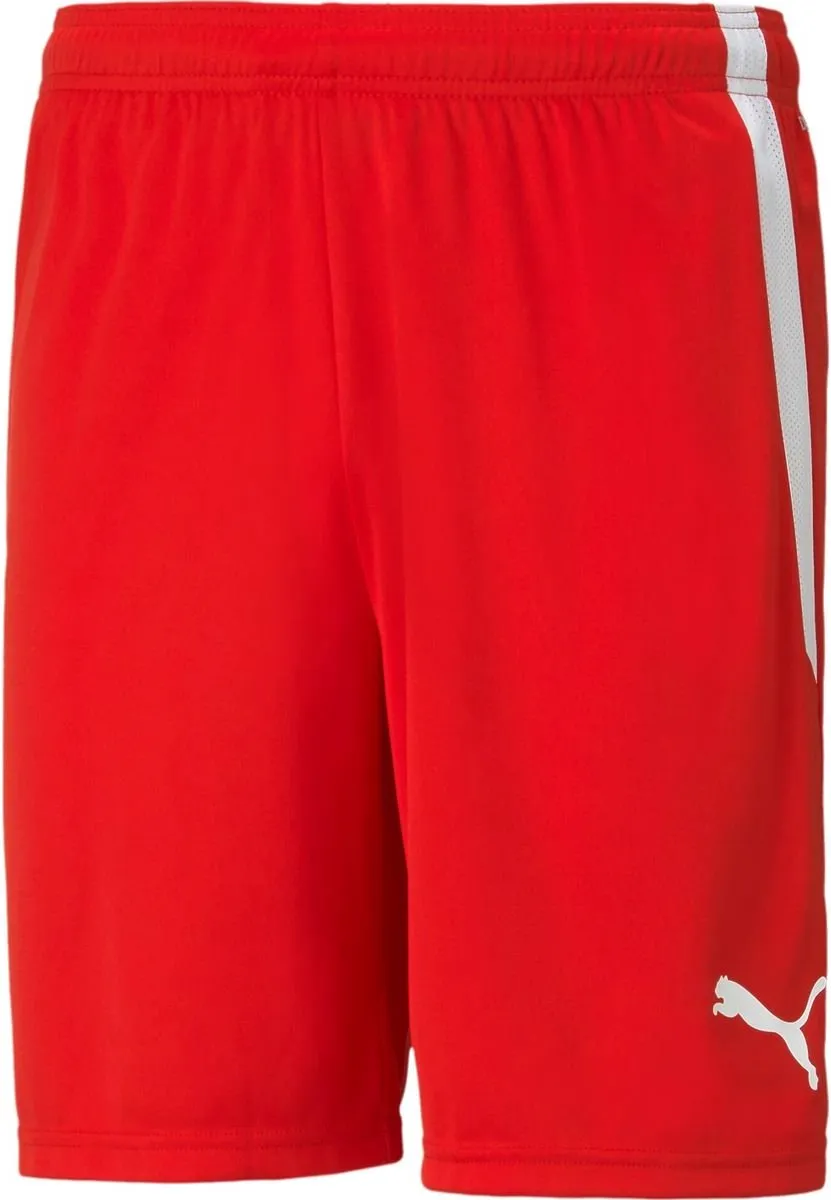 PUMA TeamLIGA Short Junior Unisex 140