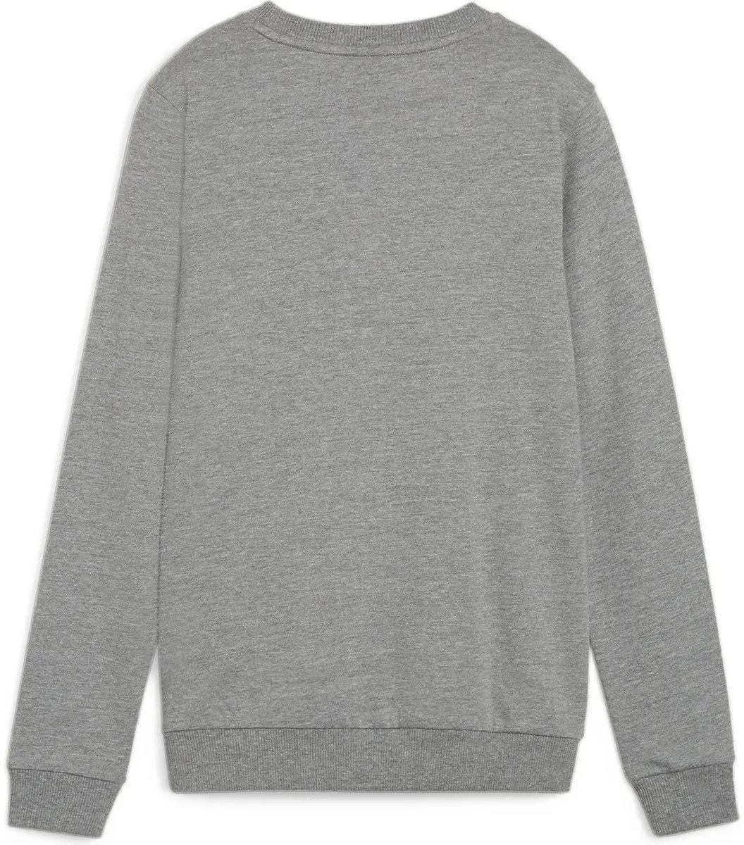 PUMA Teamgoal Sweater Dames - Lichtgrijs L