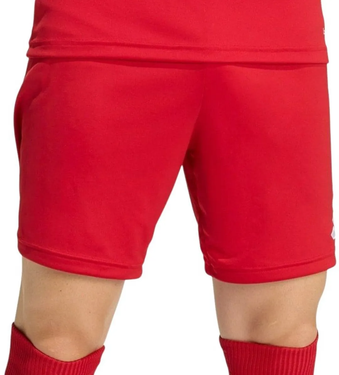 Adidas Entrada 26 Short Heren S - Bordeauxrood/Wit - afbeelding 6 van 6