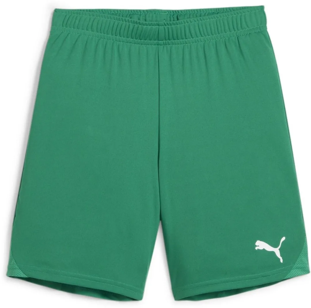 PUMA TeamGoal Shorts Jr 705753