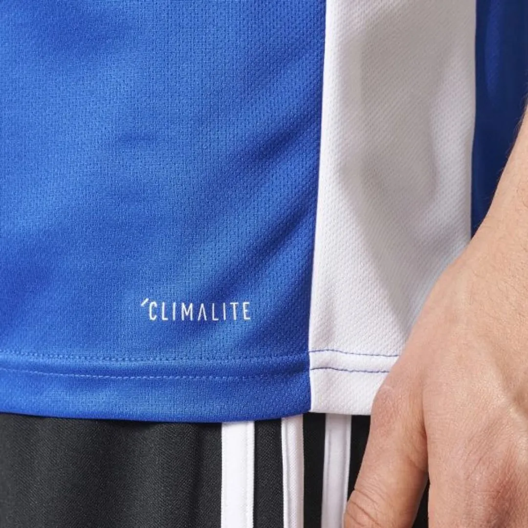 adidas Entrada 18 Heren Trikot - Bold Blue/Wit - Maat L