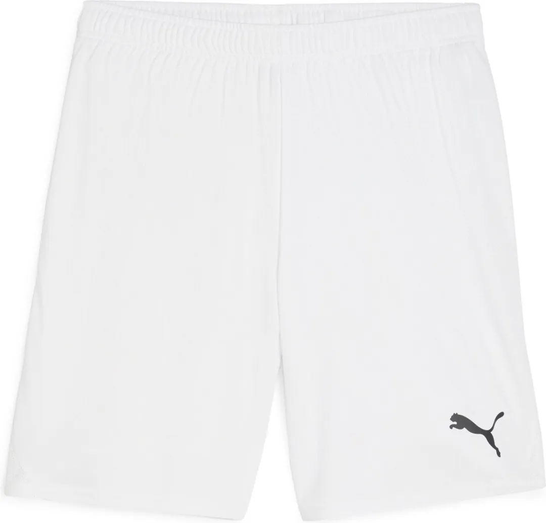 PUMA TeamGOAL Trainingsbroek M