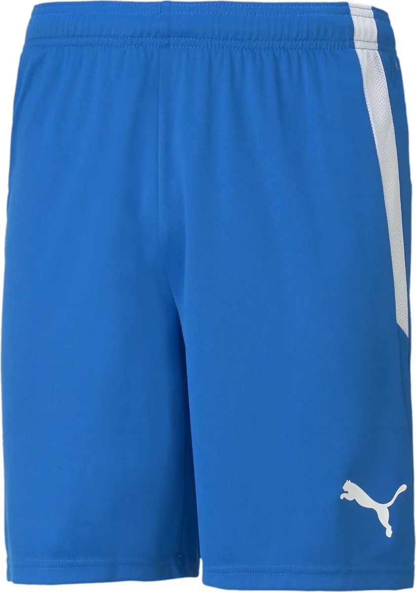 PUMA TeamLIGA Shorts Heren
