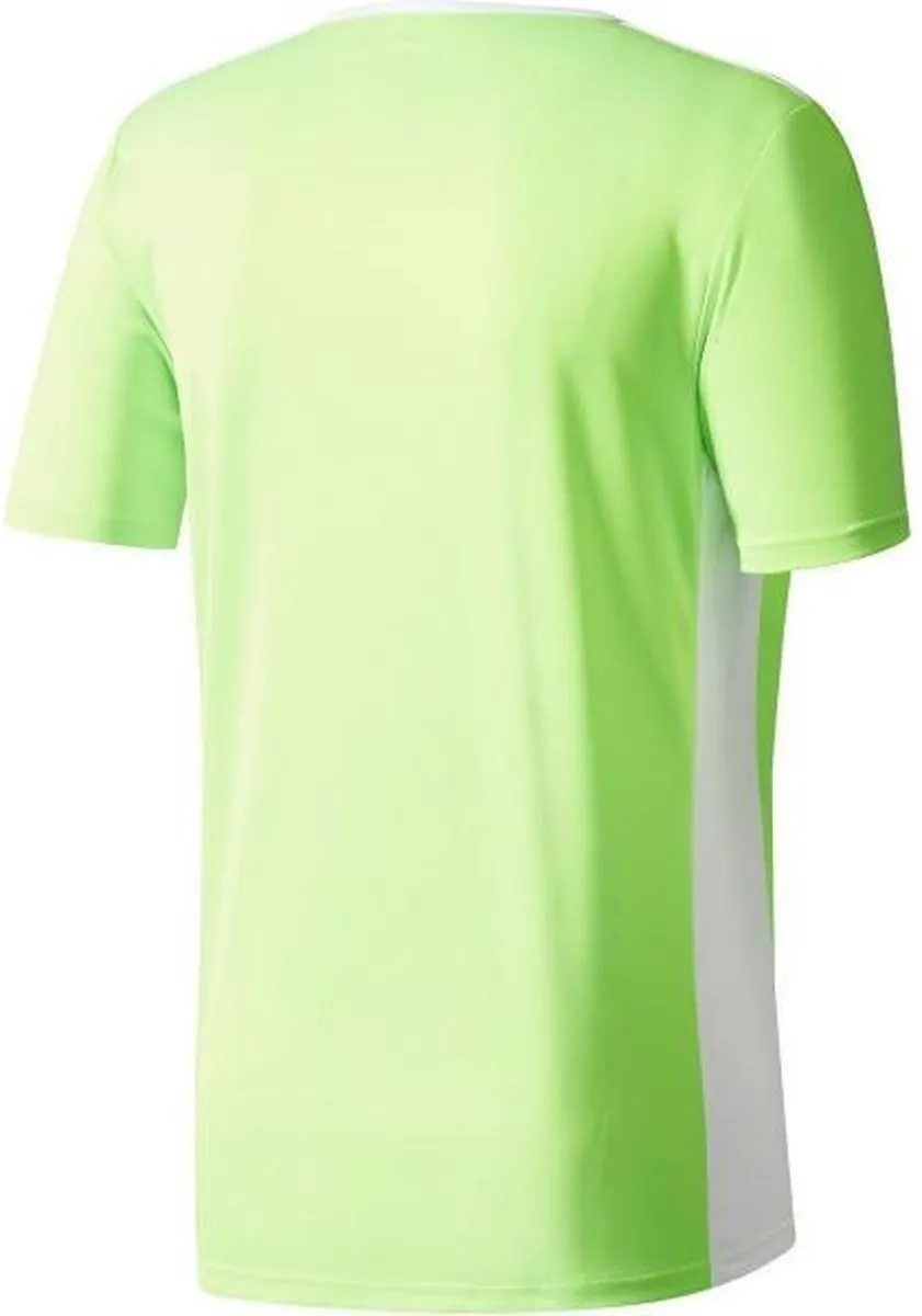 adidas Sportshirt CE9758 - 116 - Groen/Wit