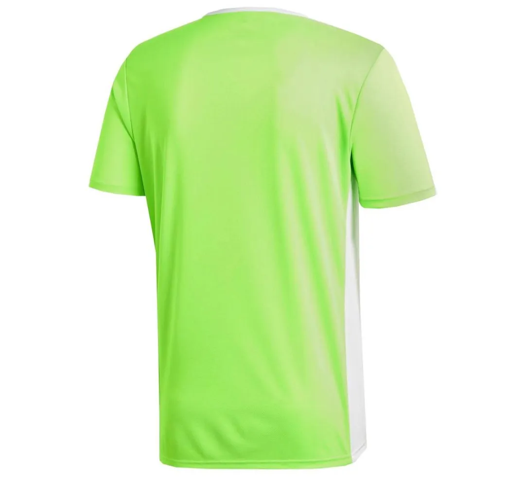 adidas Sportshirt CE9758 - 116 - Groen/Wit
