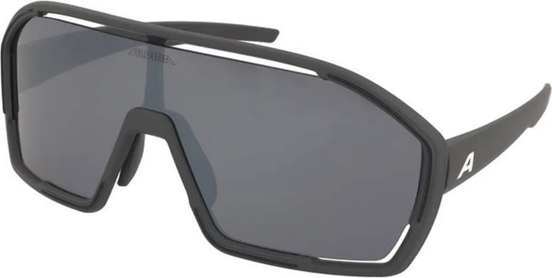 Alpina Bonfire Zonnebril - Grijs/Zwart CAT3