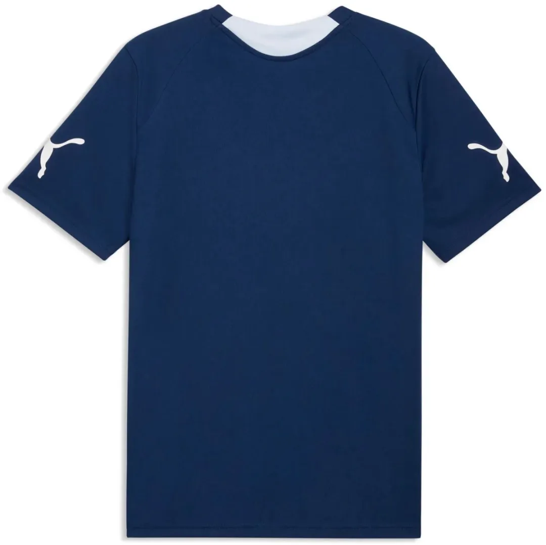 PUMA Individual Final Jersey Voetbalshirt Heren - Blauw L