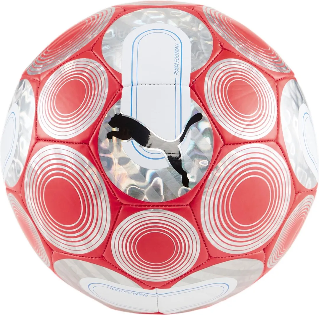 PUMA Voetbal Cage Maat 5