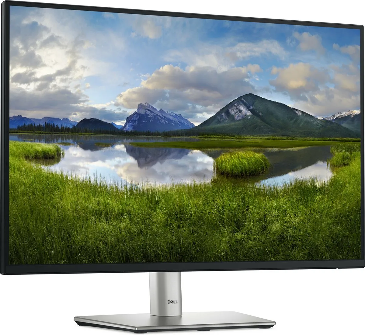 Monitor Dell P2425E WUXGA 24,1" 100 Hz