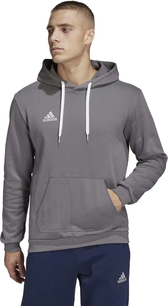 adidas Performance Entrada 22 Sweat Hoodie L - Grijs