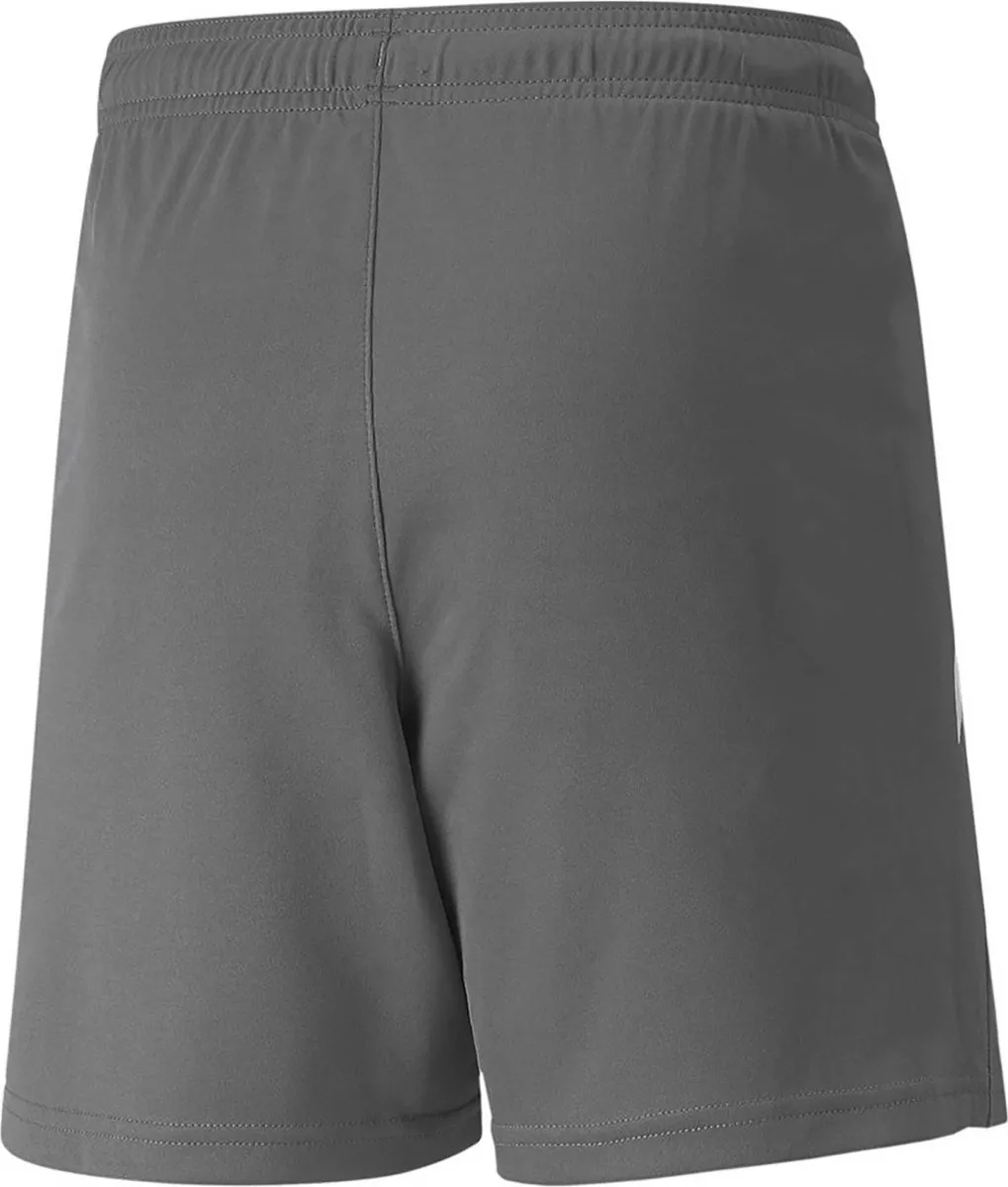 PUMA Teamliga Short Kinderen 116 - Grijs