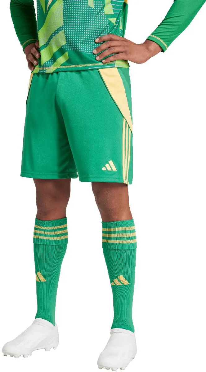 adidas Tiro 24 Herenshort - XL - Groen