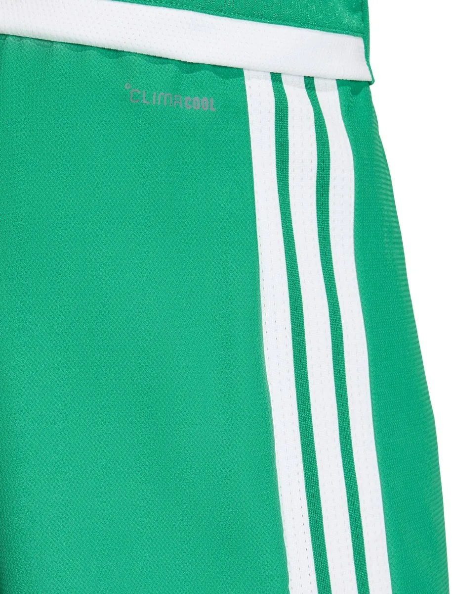 Adidas Tiro 26 Competition Herenshort - Groen S