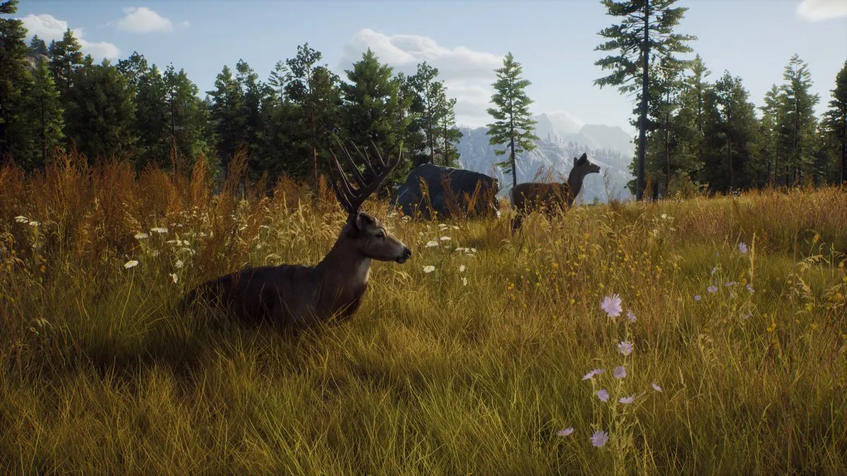 THQ Nordic Way of the Hunter PS5 - 2 Spelers Offline