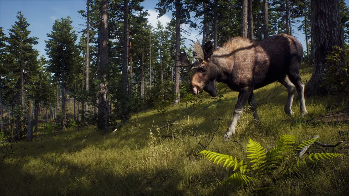 THQ Nordic Way of the Hunter PS5 - 2 Spelers Offline - afbeelding 6 van 6