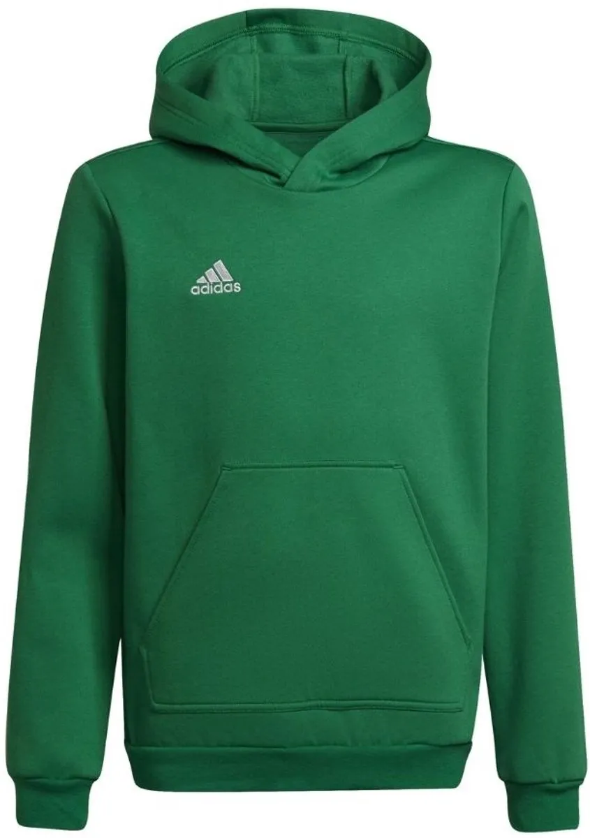Adidas Entrada 22 Hoodie Kinderen