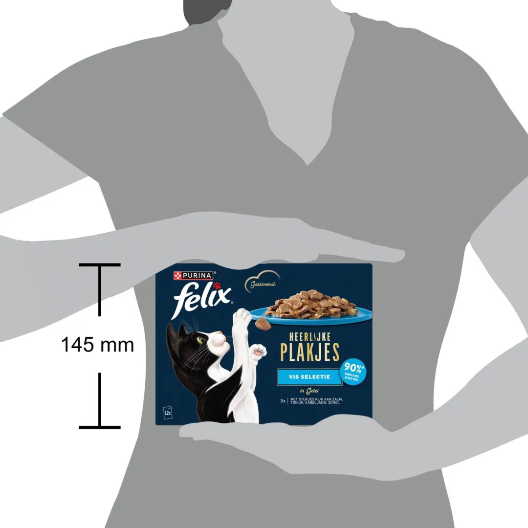 Felix Plakjes Natvoer Zalm 12x80g